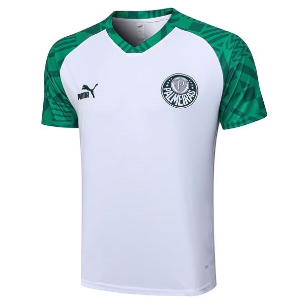 Camiseta Entrenamiento Palmeiras 2023-24 Blanco Verde